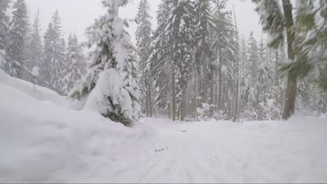 Den-Hügel-Im-Wald-Hinunter-Rodeln