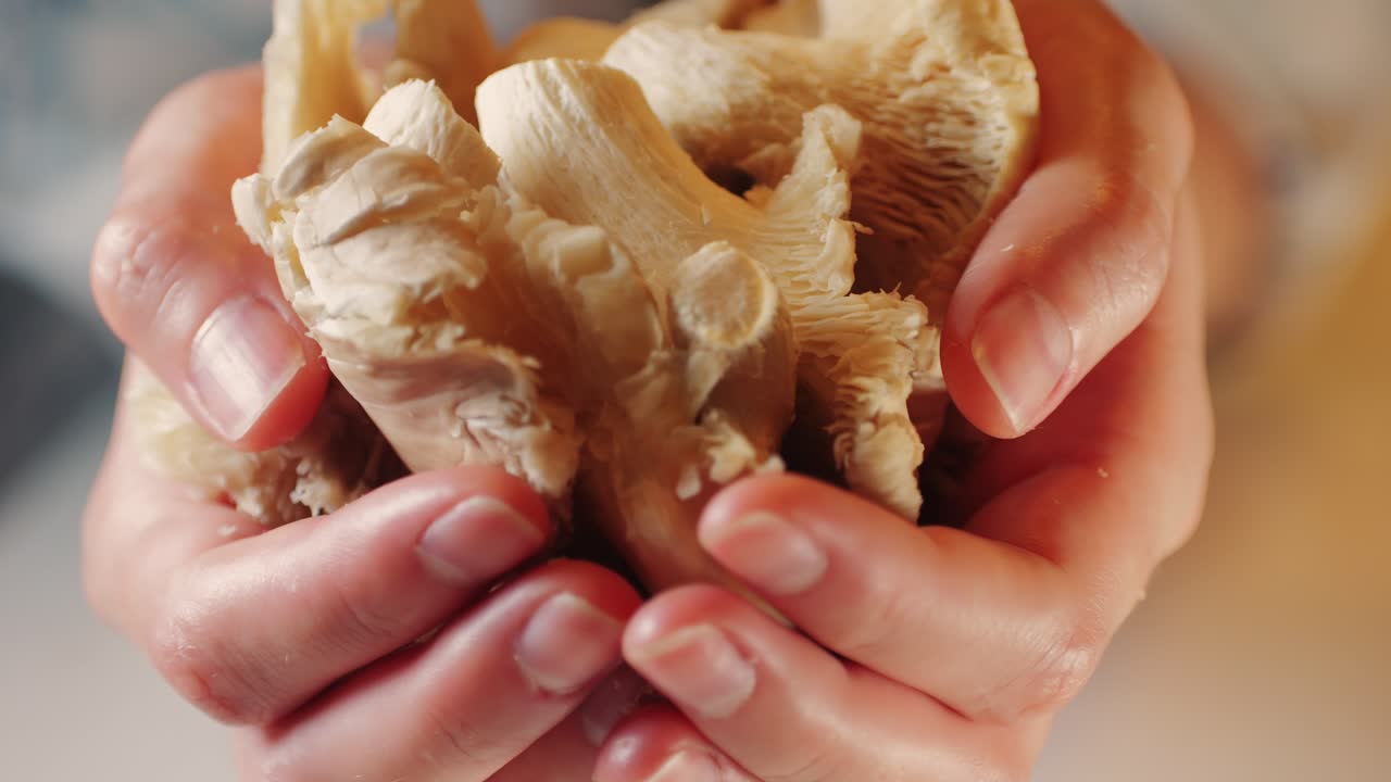 la mano de la mujer sostiene una canasta de setas de ostras pulmonares. un primer plano de la comida de los agricultores del supermercado.