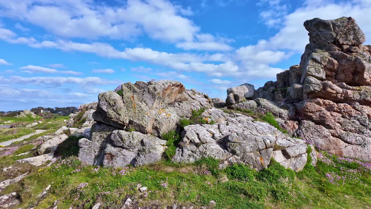 Majestic granite rocks and wildflowers on rugged coast of Plougrescant, Brittany, France. Panning