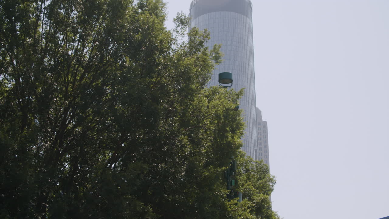 Arranha-céu de Atlanta com árvores.