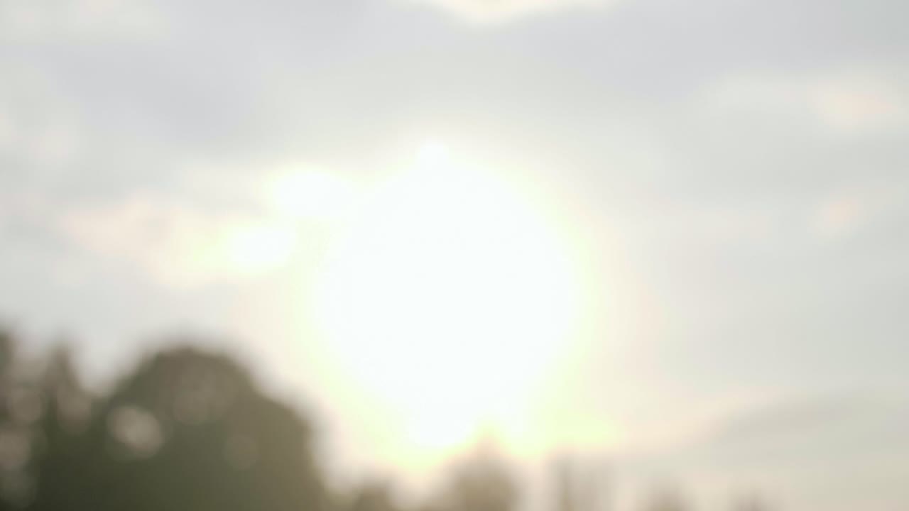 друзья делают тост.