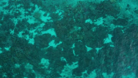 Amazing-coral-reef-ecosystem-seen-from-above-with-calm-waves-in-tropical-ocean