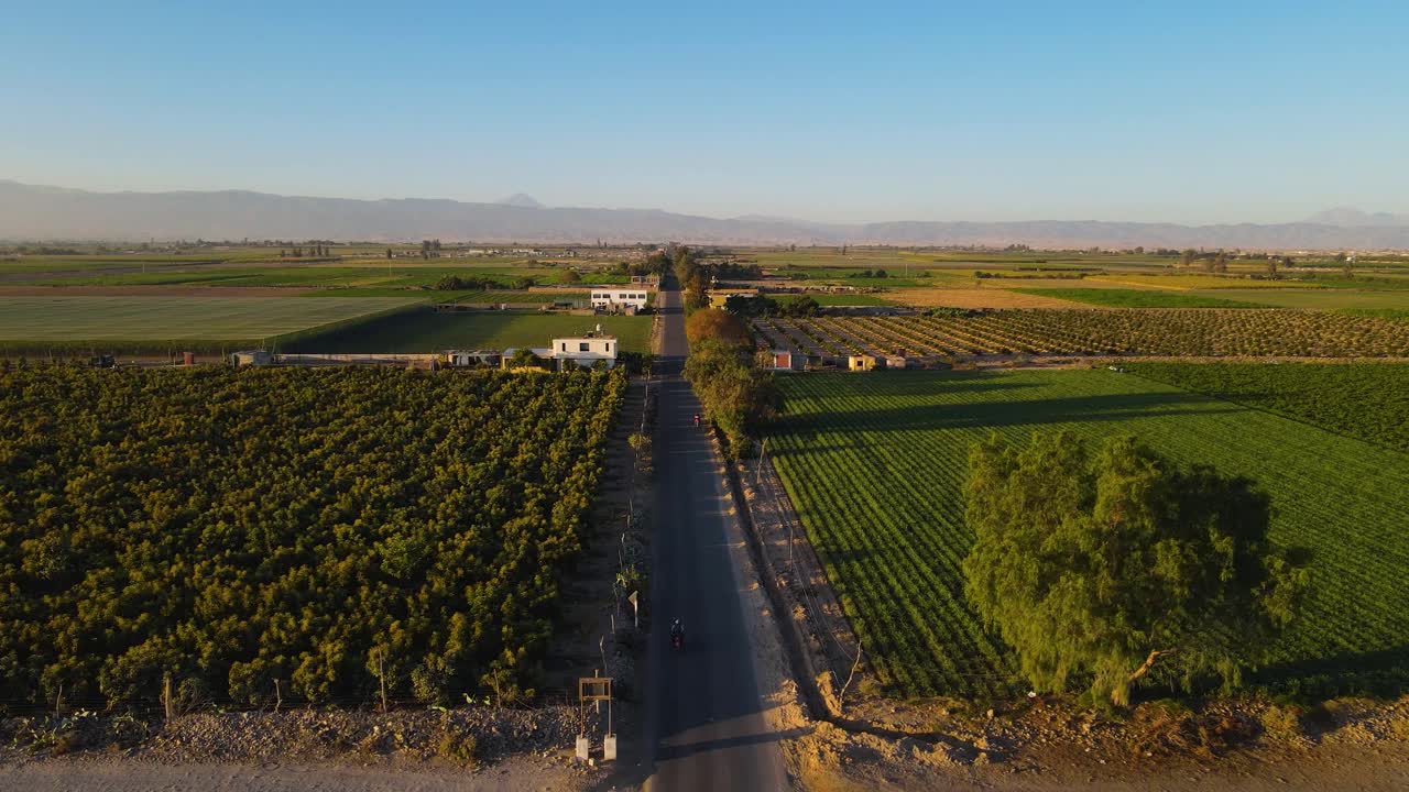 pedregal tomas aereas de la zona y su forma de cultivo y vida, en diferentes momentos del dia