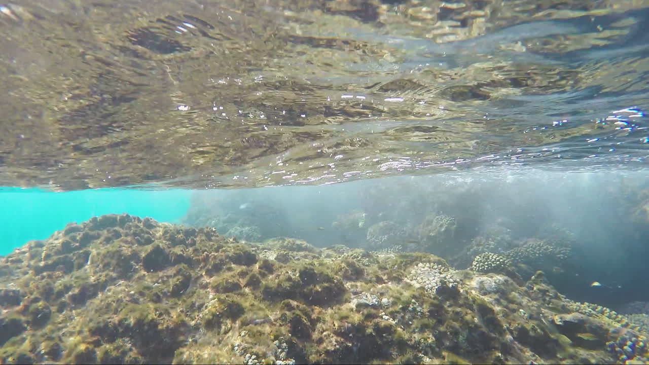 산호초에서 서핑하기 물 아래에서 본 풍경