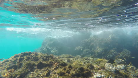 navegar en el arrecife de coral una vista desde debajo del agua