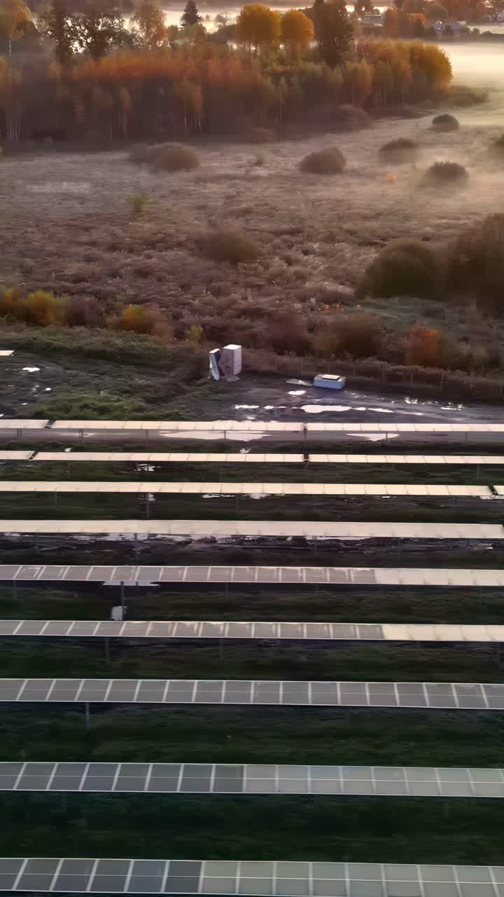 Sunset view over solar panels in a serene rural landscape