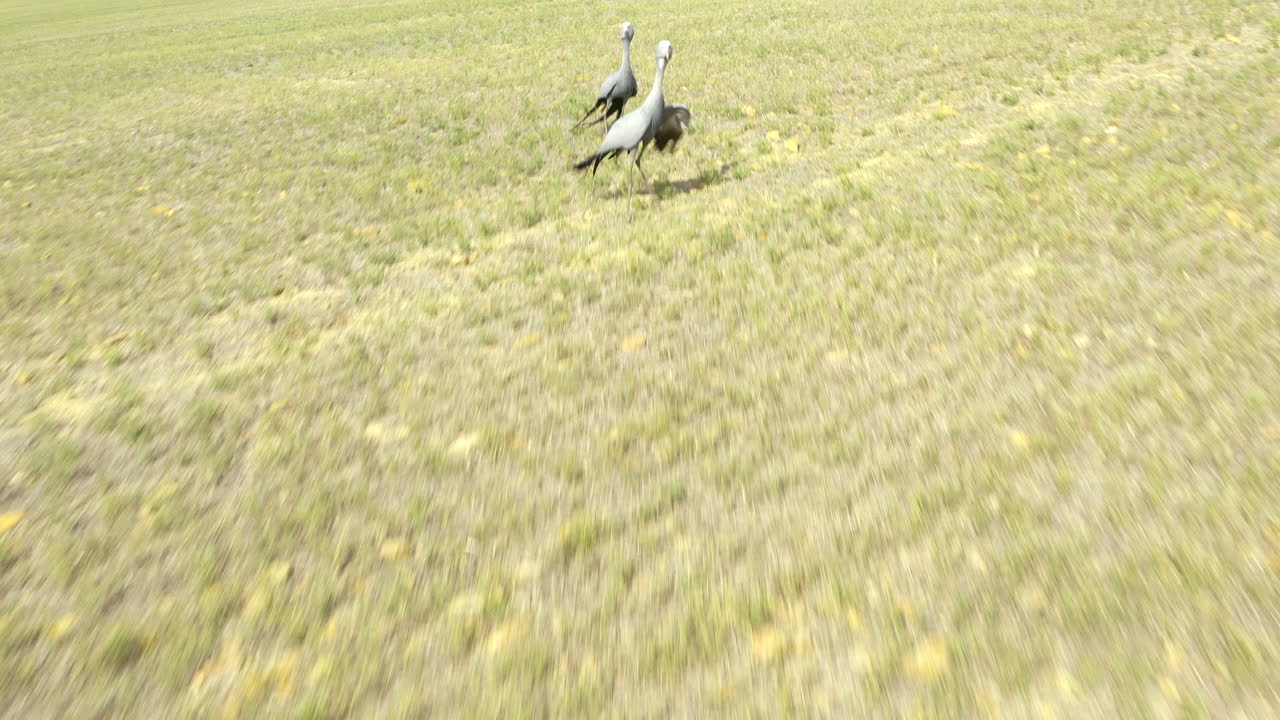 우린 이 곳을 먼저 찾았어!