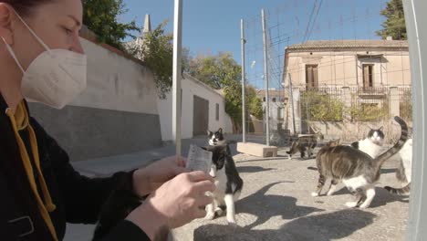 Brunette-lady-feeding-a-colony-of-stray-cats-in-sunny-Spain,-hand-held