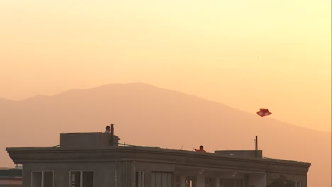 family flying kites from a rooftop in kabul afghanistan