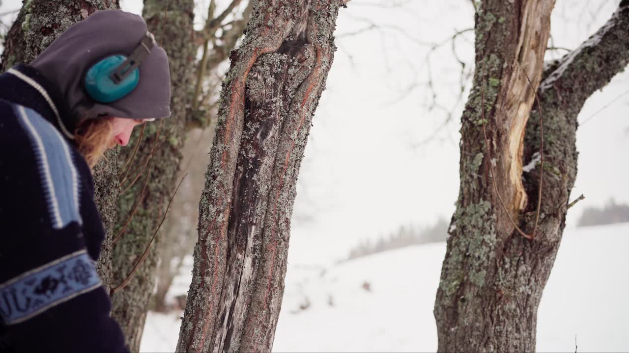 Norwegian Guy With Headphones Checking Old Tree Barks During Winter