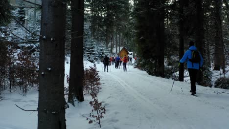 Cross-country-skiing-in-Bielice-mountains,-Poland