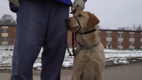 Golden-Retriever-Y-Recluso-En-El-Patio-De-La-Prisión-Invierno-4k