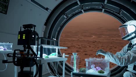 mars exploration: astronaut conducting a plant experiment