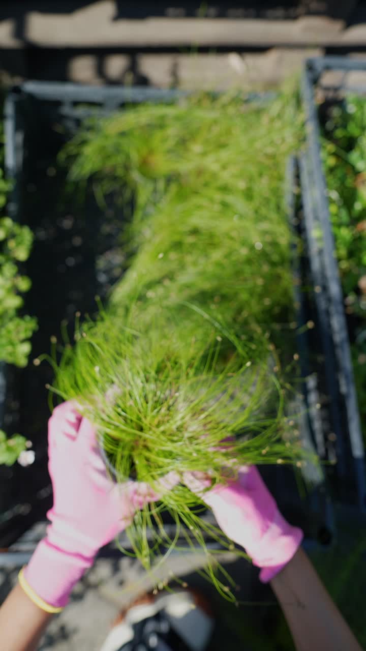 jardinería con guantes rosados