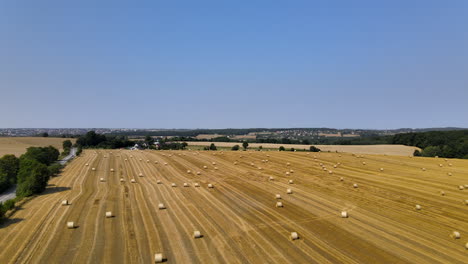 crane up view of fields of hay bales with good copy space