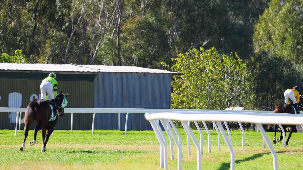 Professional jockeys gallop thoroughbred horses along a green turf racecourse during a sunny day.