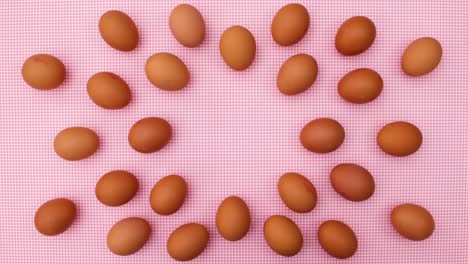 fresh eggs creative move on pink theme. stop motion