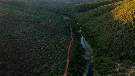drone shot following a crystal clear river surrounded by rolling hills of tree plantations on both sides of the river bank