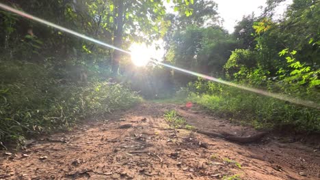 vehicle traversing a rough forest trail