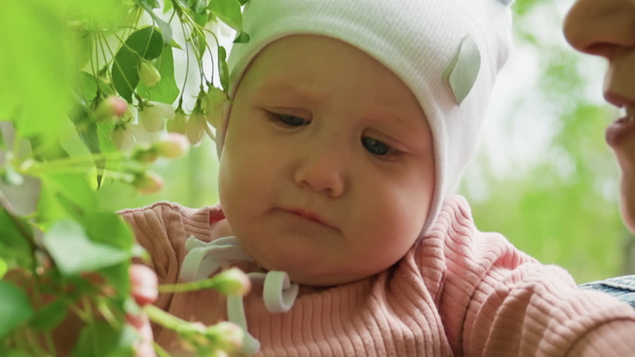 Child Examines Nature, Young Child Explores Lush Green Environment With Attentive Adult Nearby, Cherubic Toddler Examines Leaves With Curiosity In Vibrant Spring Setting While Adult Watches
