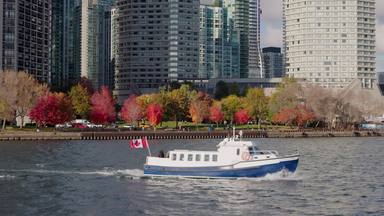 Parco lungolago di Toronto con alberi autunnali colorati e moderni grattacieli, un vivace paesaggio urbano con fogliame rosso lungo le sponde del Lago Ontario.