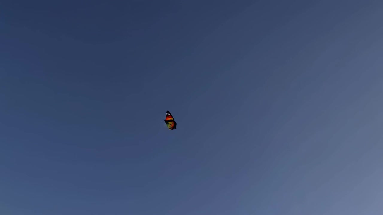 Vibrant Butterfly Soaring Over a Waving Green Field