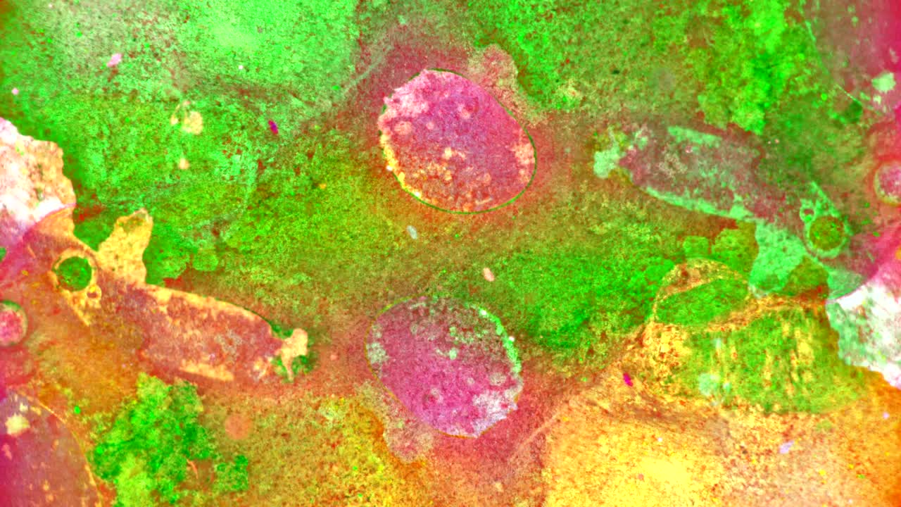 el rizado de las pinturas