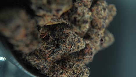 A-vertical-macro-cinematic-detailed-shot-of-a-cannabis-plant,-orange-hybrid-strains,-Indica-and-sativa-,black-marijuana-flower,-on-a-360-rotating-stand,-slow-motion,-4K-video,-shiny-bowl