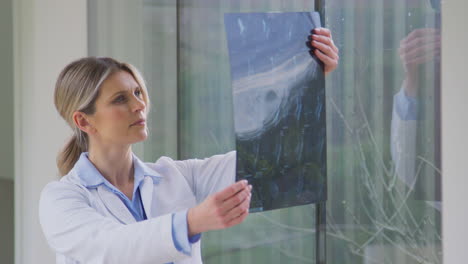 Female-Doctor-Wearing-White-Coat-Standing-In-Hospital-Corridor-Looking-At-CT-Or-MRI-Scan