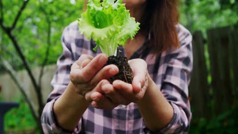 mujer madura sosteniendo una planta en el jardín 4k