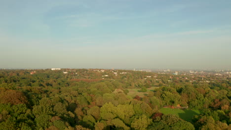 Rising-aerial-shot-over-woodland-in-Hampstead-heath-park-London