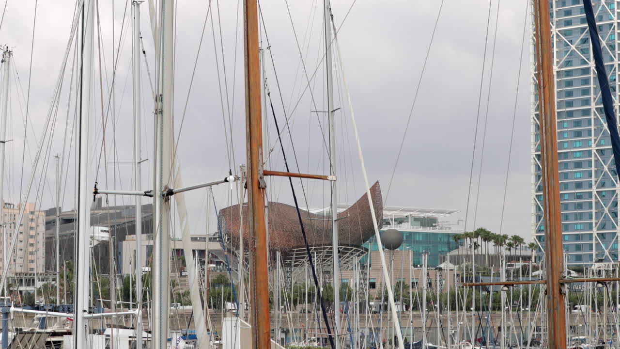 포트 올림픽 비치 비디오 4k 16