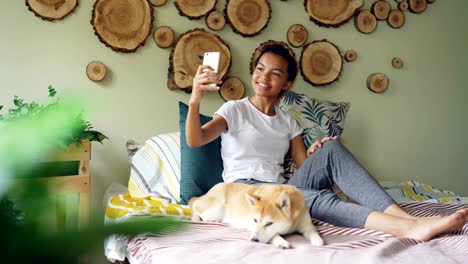 happy african american teenager is making video call with smartphone calling friends talking and gesturing while her cute dog is lying on bed with her.