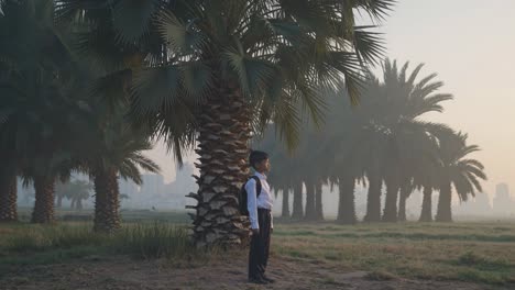 student with backpack is standing under palm trees and looking at the city in the distance covered by the morning mist, in a suggestive atmosphere of hope and expectation