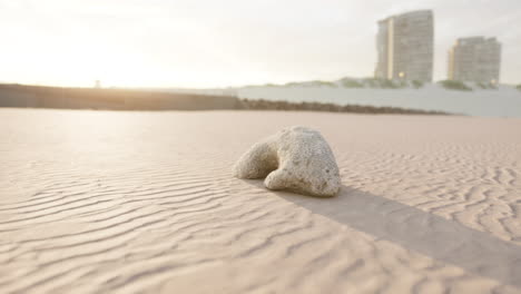 sandy beach with rock at sunrise/sunset