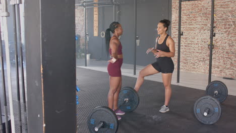 women in gym talking and preparing for weightlifting workout with barbells