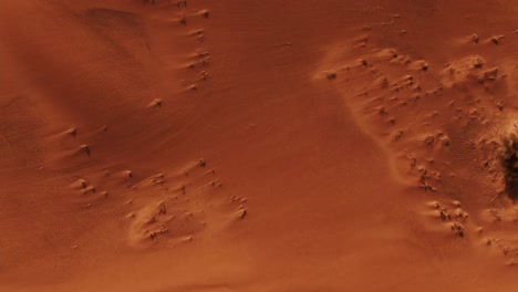 aerial view of desert dunes