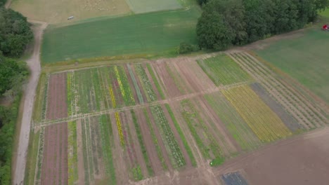 agricultural field in countryside