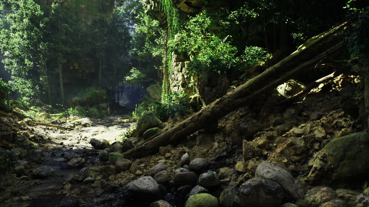 Lush forest landscape with rocky riverbed and vibrant greenery in daylight
