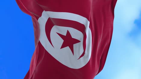 seamless loop of tunisia flag.