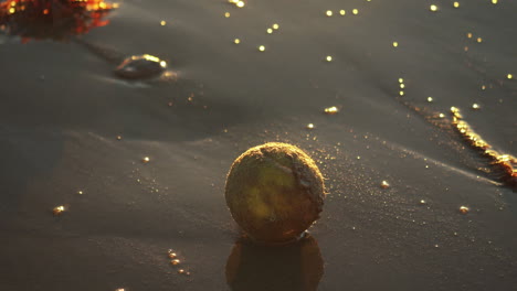 Tennis-ball-on-a-sandy-beach-during-golden-hour-washed-by-ocean-wave