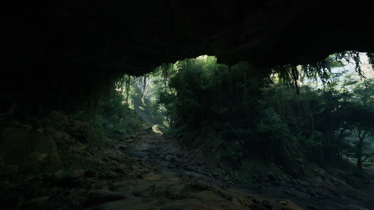 un pintoresco camino de tierra rodeado de árboles exuberantes camino de montaña