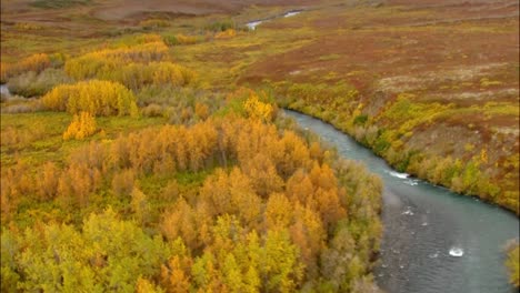 Aerial-Shot-of-Alaskan-Woodland