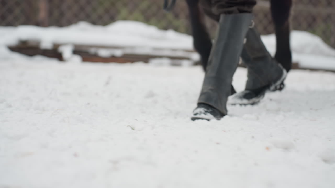 말의 발걸음 에센스, 눈밭 위 말발굽의 디테일 샷, 얼어붙은 땅에 닿는 말굽의 클로즈업, 얼음 표면에서 리듬감 있게 눈을 차는 말발굽을 포착한 디테일 이미지