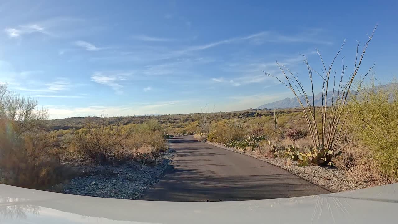 시점 - 소노라 사막의 사구아로 국립 공원의 공원 도로에서 운전