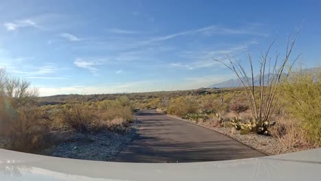 Punto-De-Vista:-Conducir-Por-Una-Carretera-Del-Parque-Nacional-Saguaro-En-El-Desierto-De-Sonora