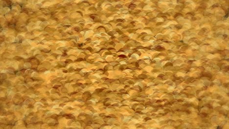 el fondo de movimiento de círculo abstracto de 4k.