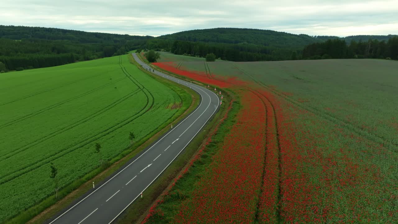 Drone view of a road winding through fields dotted with red poppies, surrounded by forests and lush landscape.