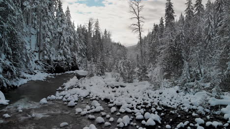 Langsam-Ansteigender-Winterwaldbach