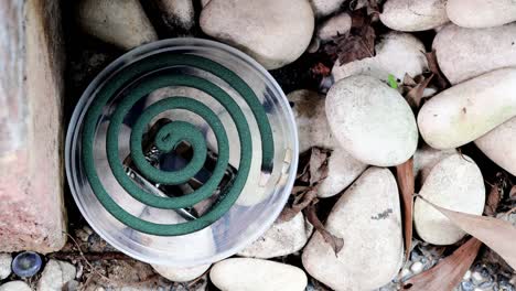 overhead view of burning mosquito repellent coil with smoke in outdoor setting to ward off mosquitoes